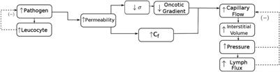 A Poroelastic Approach for Modelling Myocardial Oedema in Acute Myocarditis